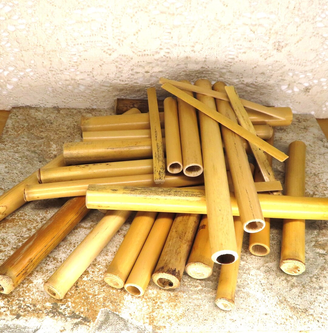 50 Bamboo Pieces Bamboo Bamboo Lengths Bee Box Bamboo Natural Bamboo Sticks Cut Bamboo Sticks