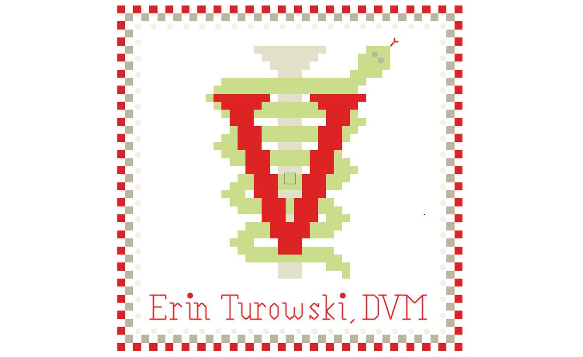 Veterinary Cross Stitch Pattern Veterinary Caduceus Holiday Etsy