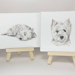 West Highland terrier print, West Highland terrier mini canvas print