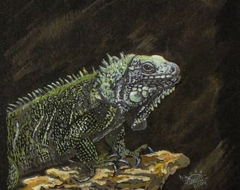 Green Iguana Print