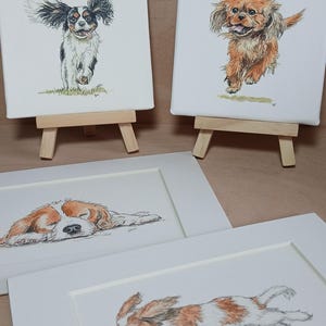 Cavalier King Charles Spaniel Kunstdrucke