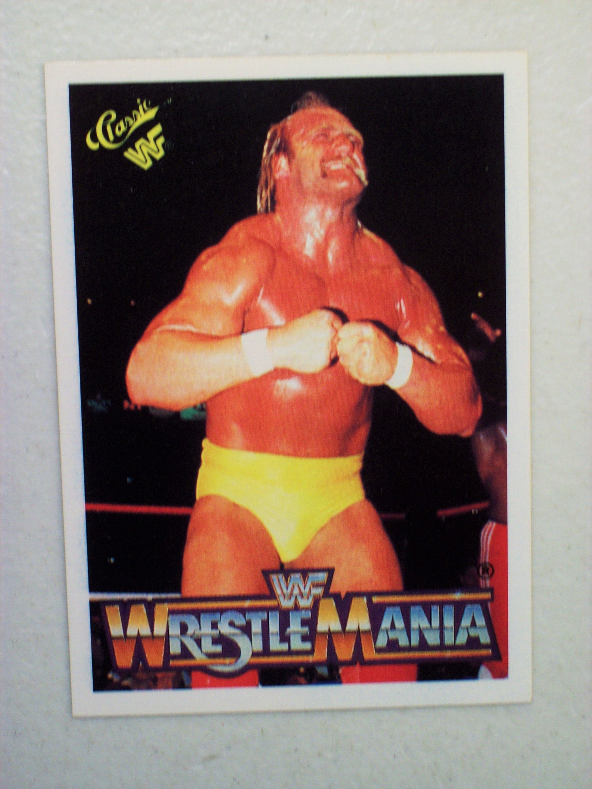 Hulk Hogan Card Printable Cards