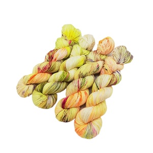 SockYarn, handdyed  75 Wool, 25 Polyamid 100g 3.5 oz. Nr.237