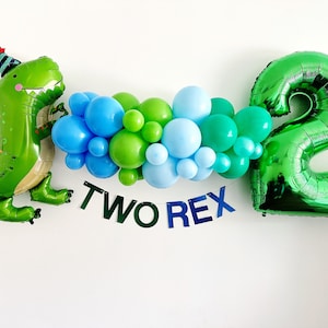 Two Rex Birthday Party | Dinosaur Balloons | Second Birthday Party Decor | T-Rex Party Props | Dinosaur Party Decor | COL275