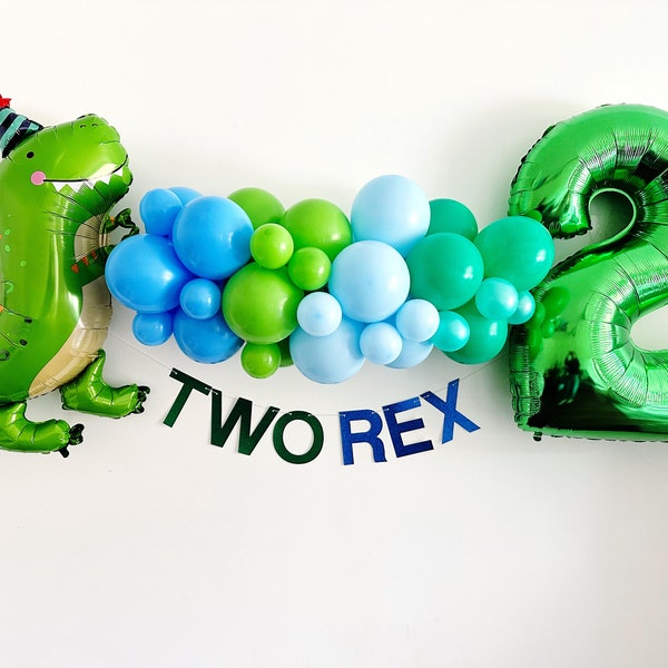 Two Rex Birthday Party | Dinosaur Balloons | Second Birthday Party Decor | T-Rex Party Props | Dinosaur Party Decor | COL275