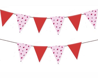 Strawberry Pennant Banner, Strawberry Birthday Party, Summer Party Decor, Spring Party Decor, Strawberry Party Decor P146