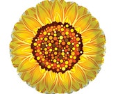 Il_170x135