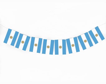 Argentina Flag Banner, Argentine Flag Banner, Team Argentina Garland, World Flags, Argentina World Cup Decorations, P244