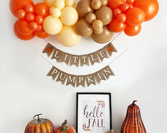 Fall Baby Shower Decorations | Little Pumpkin Banner | Fall Birthday Party Decor | Pumpkin Birthday Party | First Birthday Decor