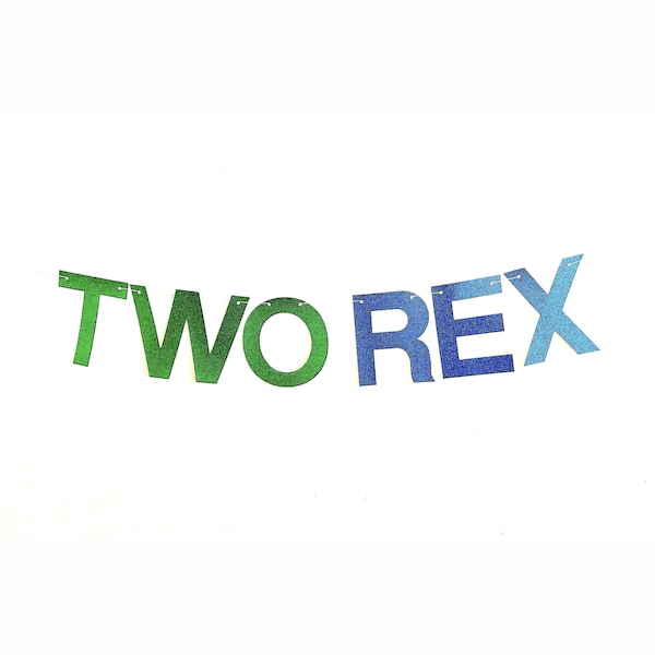 Two Rex Glitter Banner, Dinosaur 2nd Birthday, Second Birthday Banner, T Rex Party Decorations, LB030