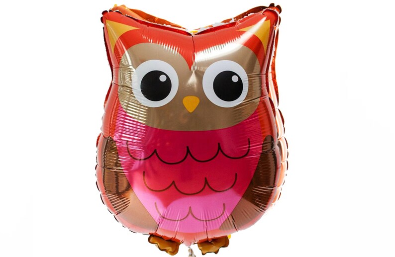 May include: A red, brown, and pink foil balloon shaped like an owl. The owl has large black eyes and a small orange beak.