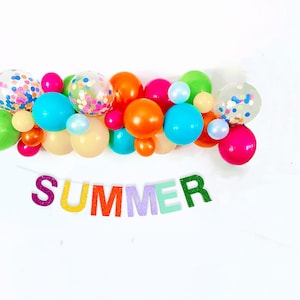 Summer Party Decorations, Rainbow Theme Party Kit, Summer Party Decorations, Rainbow Summer Banner, Summer Balloon Garland, COL134