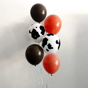 Brown and Orange Cow Print Balloons, First or Second Rodeo Decorations, Cowboy or Cowgirl Balloon Bouquet Set of 6