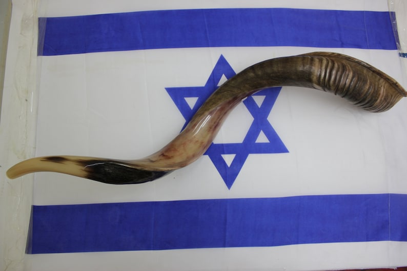 Shofar 36'' Half Polished Kosher Yemenite Kudu Horn Shofar. Best Sound