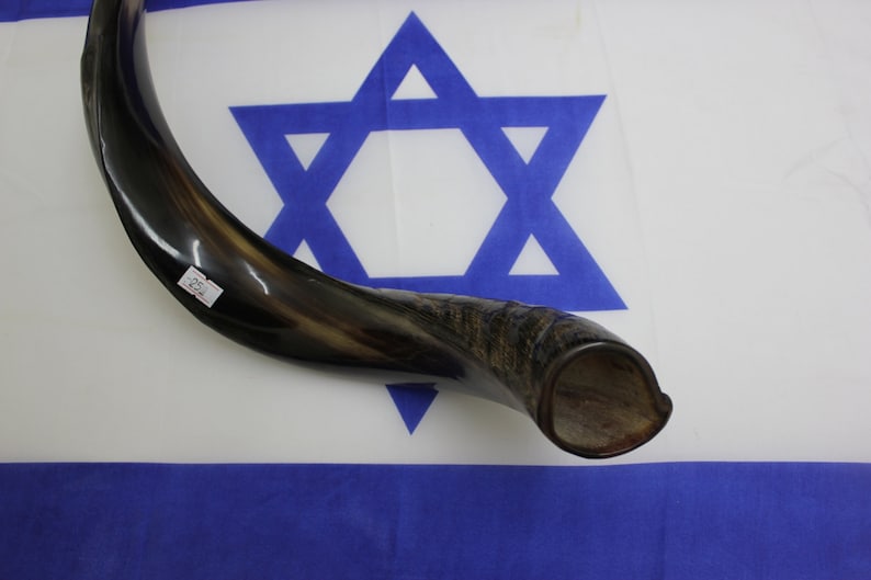 Shofar 25'' Half Natural Kosher Yemenite Kudu Horn Shofar Best Sound
