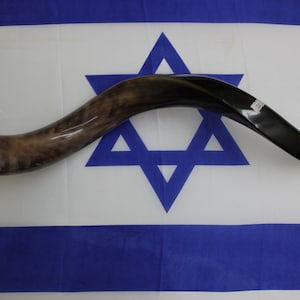 Shofar 28&quot;  full natural kosher yemenite kudu horn shofar best sound best price best quality