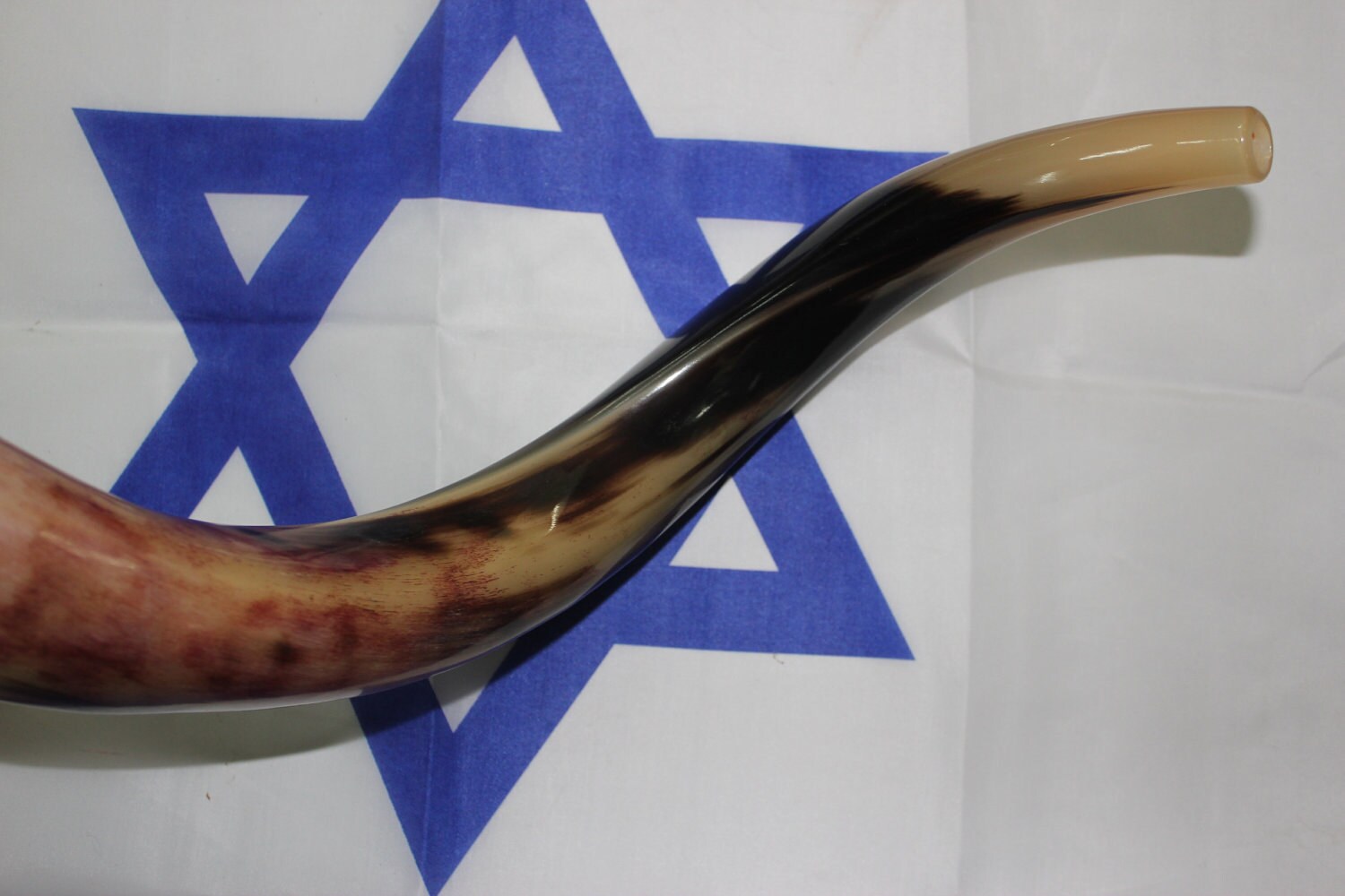 Shofar 36'' full polished kosher yemenite kudu horn Etsy