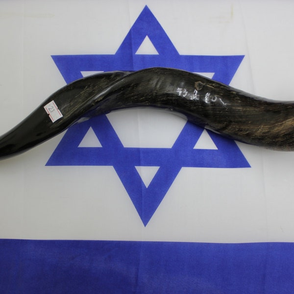 Shofar 21'' natural kosher yemenite kudu horn shofar best sound best price best quality