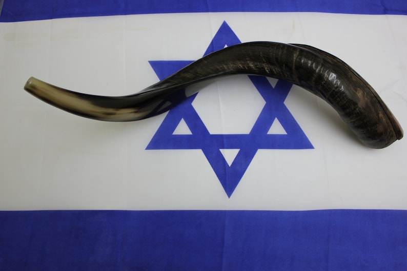 Shofar 25'' Half Natural Kosher Yemenite Kudu Horn Shofar Best Sound