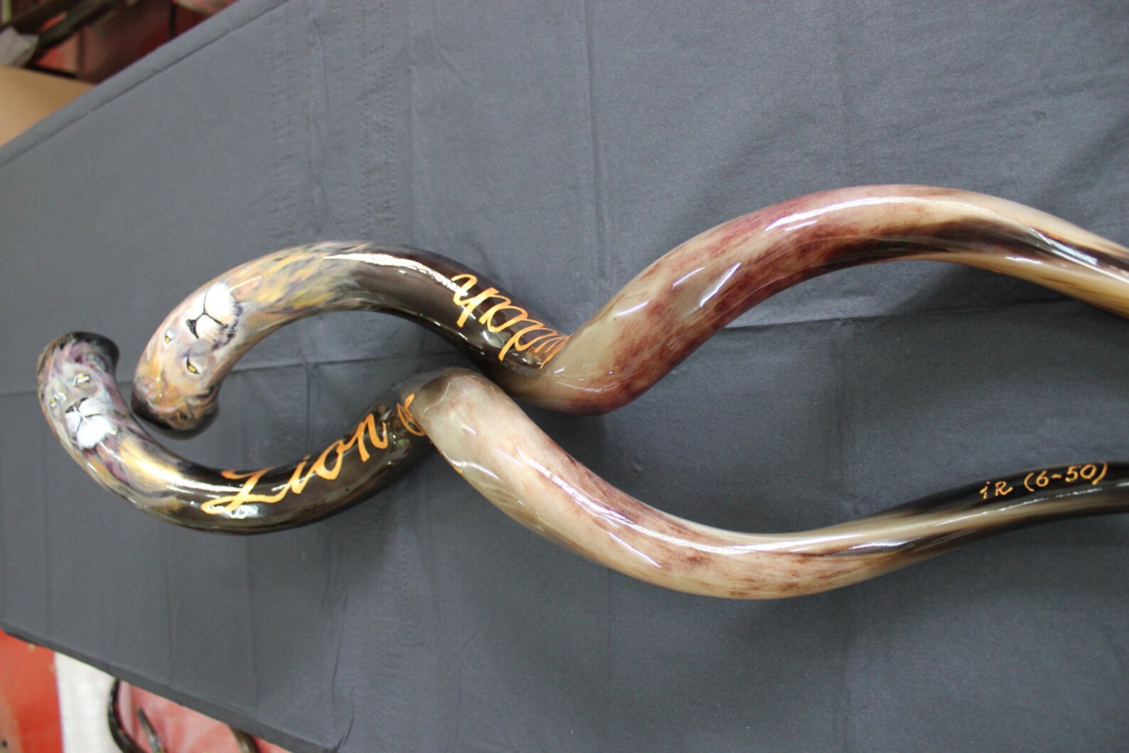 Shofar 40. Hand Painted Yemenite Kudu Polished Horn Art Shofar. lion of