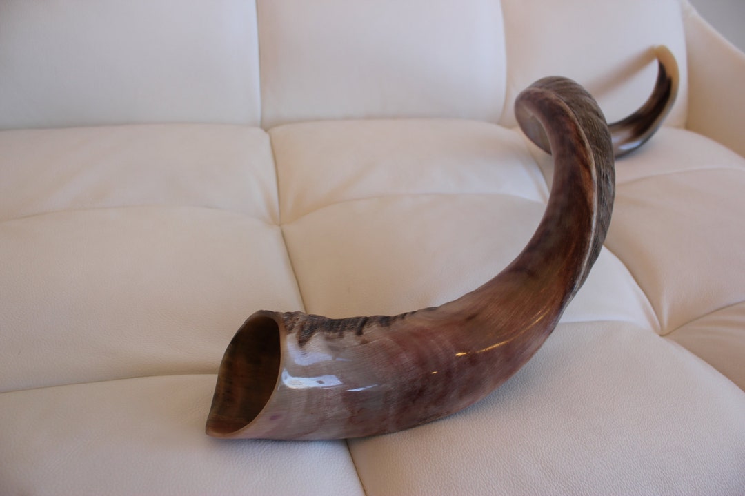 Shofar 40'' mitad natural kosher yemenita kudu cuerno shofar mejor