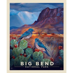 Panel de póster de Big Bend de los Parques Nacionales de Riley Blake, panel de tela "Wilderness and Wonder", panel de tela "Edredón", panel de aves