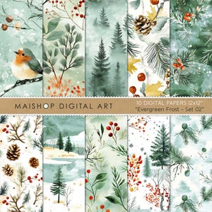 Papel digital sin costuras de invierno • Diseño de patrón nevado • Papeles de álbum de recortes digitales de invierno rústico • Evergreen Frost Set 02 • Uso comercial
