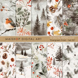 Paquet de papier numérique d'hiver • Motifs de neige sans couture • Ensemble de scrapbooking rustique givré • Design à feuilles persistantes • Usage commercial