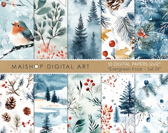 Winter Digital Paper • Seamless Patterns • Colorful Scrapbook Papers • Printable Instant Download Background Images • Evergreen Frost Set 01