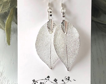 Real leaf earrings in Silver