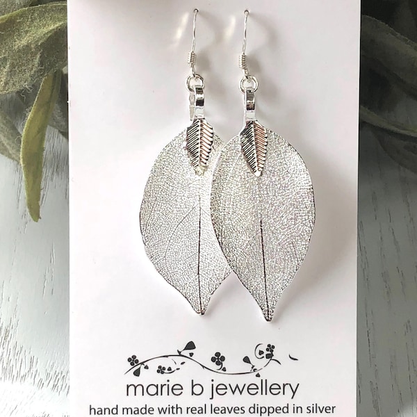 Real leaf earrings in Silver