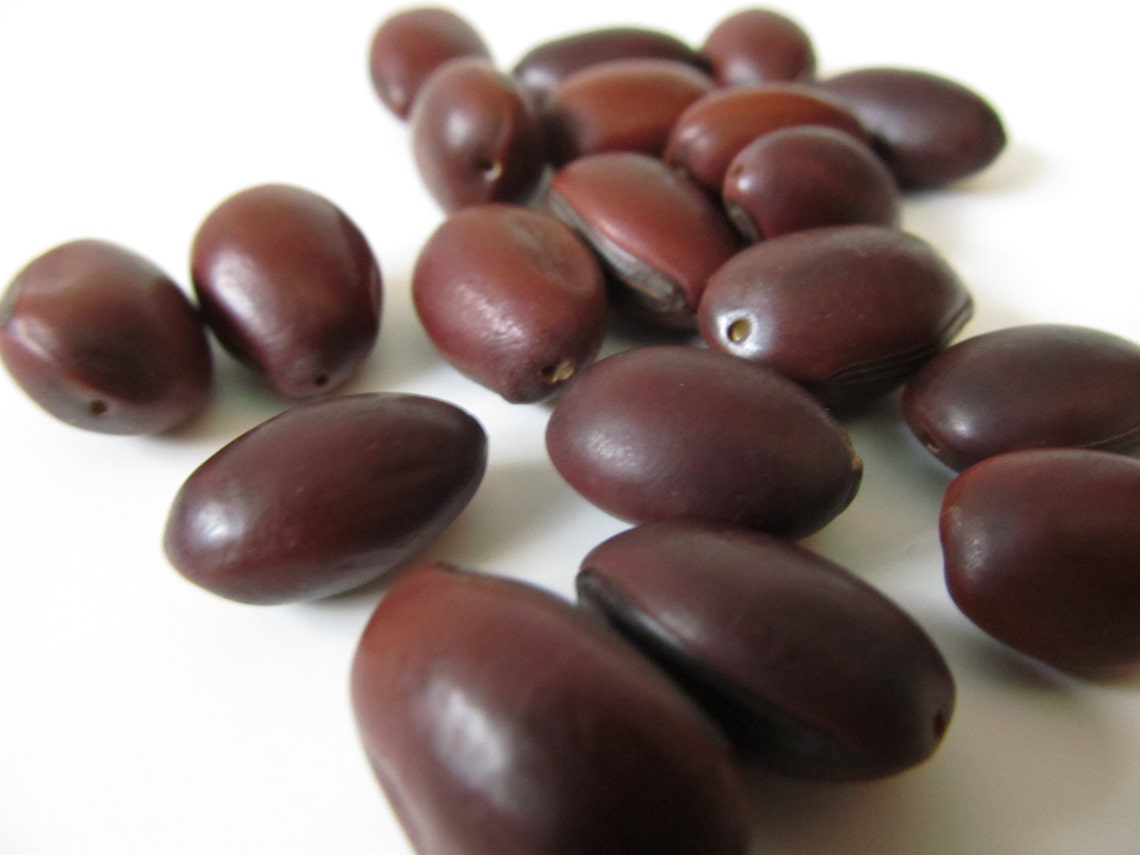 Brown Seed Beads Oval Rounded Natural Beads with Holes 20 Etsy