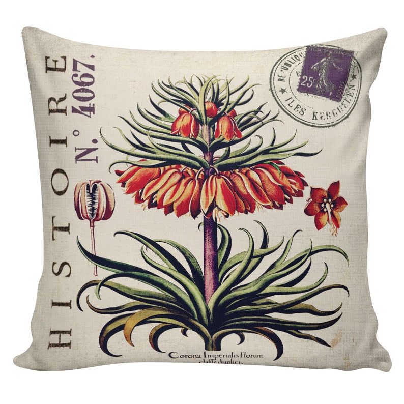 Pillow Cover French Style Spring Botanical Orange Plum Decor Etsy