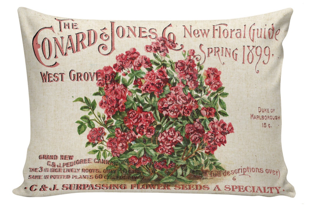Spring Pillows, Botanical Pillows, Seed Packet, Roses, 12x18, Cushion