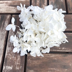 10g White Flower, Off White, Preserved Hydrangea, Preserved Flowers, Nature Flowers For Wedding Home Decor Gifts, Christmas Wreath Flowers