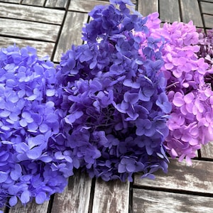 10g Purple Pink Gradient Flower, Preserved Flower Hydrangea, Preserved Flowers, Nature Flowers For Wedding Home Decor, Christmas Flowers