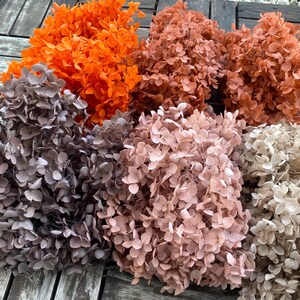 10g Orange Flower, Preserved Flower Hydrangea, Preserved Flowers, Nature Flowers For Wedding Home Decor Personalized Gifts, Autumn Flowers