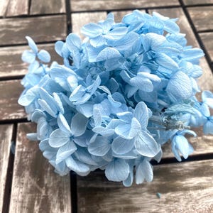 10g Blue Flower, Blue Preserved Hydrangea, Preserved Flowers, Nature Flowers For Wedding Home Decor Gifts, Spring Wreath Flowers