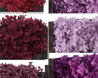 10g Wine Red Purple Tone Preserved Flower Hydrangea, Preserved Flowers, Nature Flowers For Wedding Flowers Home Decor Personalized Gifts