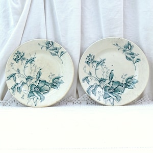 1 Antique French Ironware Style Plates with Large Teal Blue Flower Pattern by FL from the Range Rose de Noel, Vintage Ironstone Wall Plate
