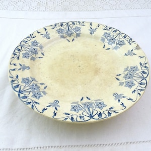 May include: A white ceramic plate with a blue floral design around the rim. The plate has a small chip on the edge.