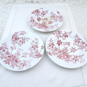 May include: Three white ceramic plates with a pink floral design. The plates have a vine pattern with leaves and berries.