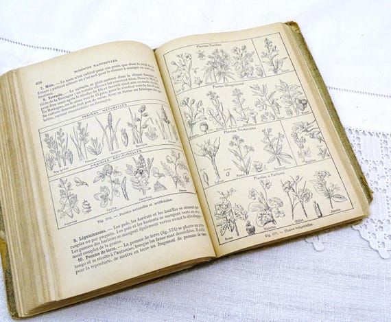 Antique French School Naturel Science Hardback Book with Numerous Illustrations, Vintage Students Picture Library, Guide Early 1900s France