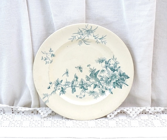 French Antique Longwy Round Plate with Exotic Parrot Bird Pattern in Teal Blue Range MIgnon, Vintage Victorian Wall Decor From France