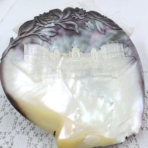 May include: A large, iridescent mother-of-pearl shell featuring an intricate, hand-carved relief of a grand palace with symmetrical wings and a central dome. The top edge is adorned with carved rose blossoms and leaves in dark, moody tones.