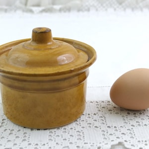 May include: A small, lidded ceramic container in a warm, golden-brown hue, alongside a single brown egg. The container has a rounded shape with a lid and a small knob. The egg is smooth and oval. The items are on a white, textured surface.