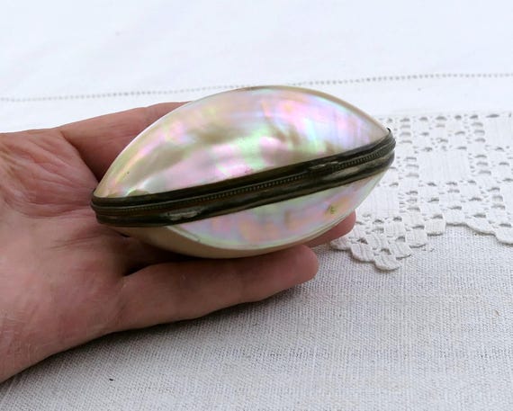 Antique French Natural Shell Box, Victorian Mother of Pearl Curio Jewelry Box from France, Seaside Brocante Flea Market Home Decor Item
