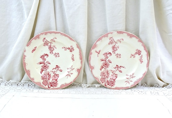 Set of 2 Antique French Round Plates with Pink Flower and Insect Pattern by Longwy Soleil Range, Vintage Ceramic Wall Decor from France