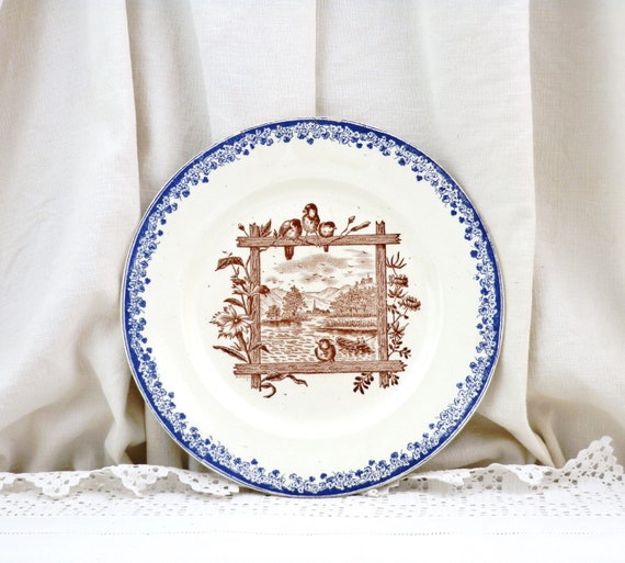 French Antique 19th Century Ironstone Transferware Decorative Plate by Salins with Bird and Countryside, Vintage Wall Decor from France