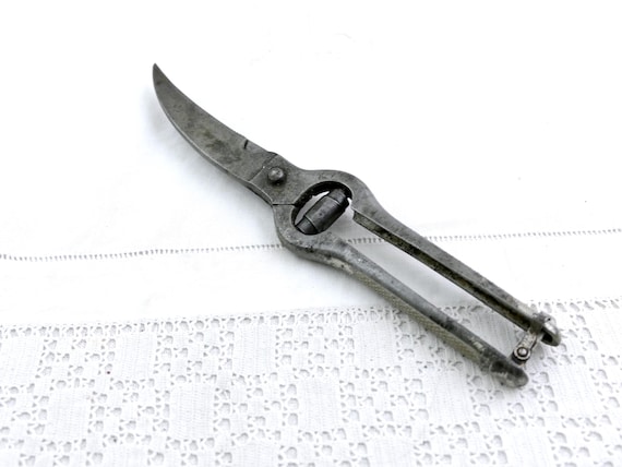 Vintage French Metal Poultry Pruners Shears by EG with Metal Spring, Retro Butchering Secateurs from France, Smallholding Bird Butcher Tools